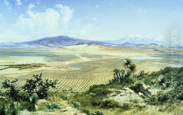 The Chimalpa Ranch, 1895 by Jose Maria Velasco