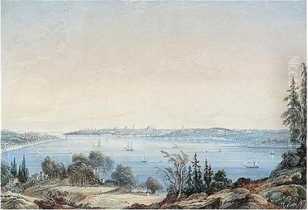 View Of Constantinople From The Banks Of The Bosphorus by Amadeo Preziosi