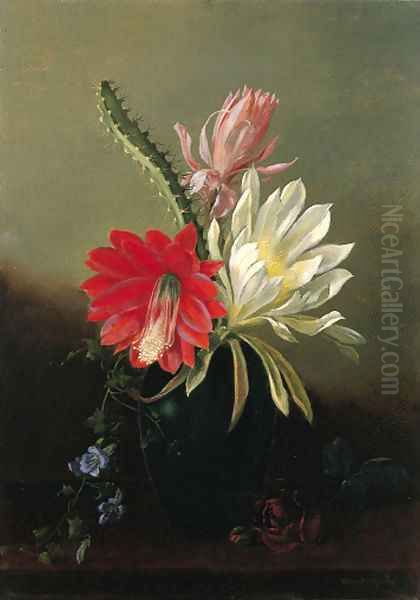 Blooming Cactus by Juan Buckingham Wandesforde