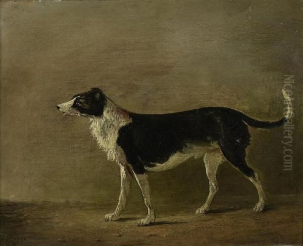 Sir Walter Scott's Dog by Alexander Nasmyth