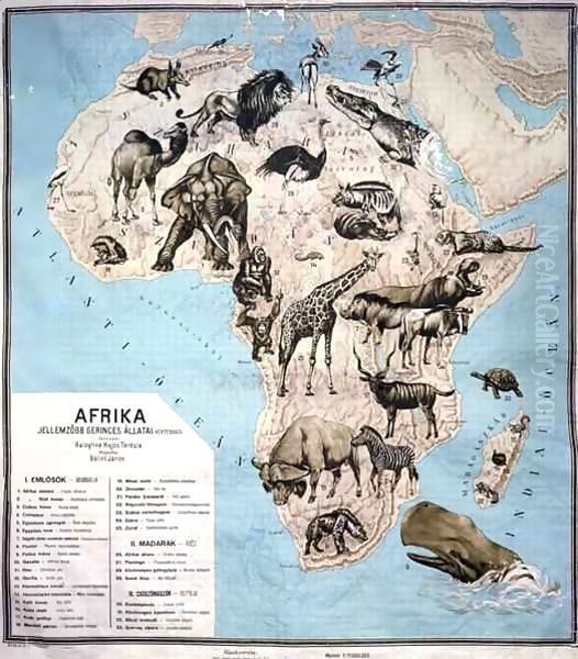 Map of animals in Africa by Janos Balint