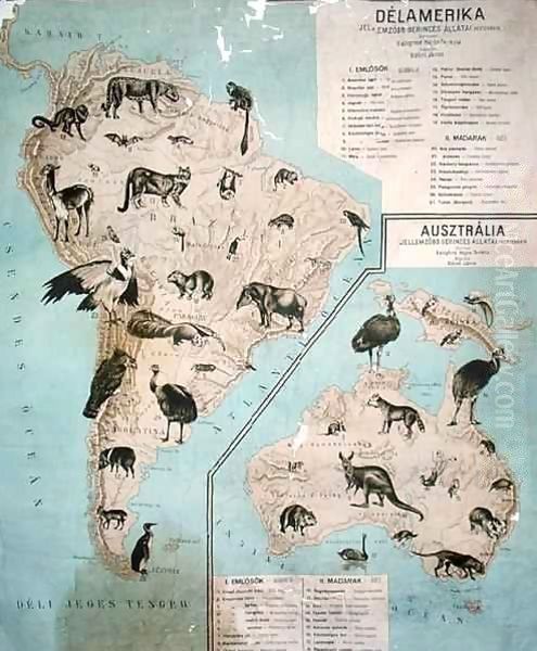 Map of animals in South America and Australia by Janos Balint