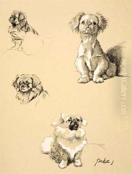 Pekes by Cecil Charles Aldin