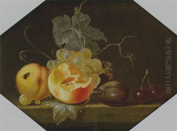 Still Life With Peach, Plum And Cherries by Willem Van Aelst