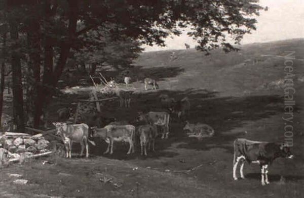 Cattle In A Sunny Pasture by Thomas Allen Jr.