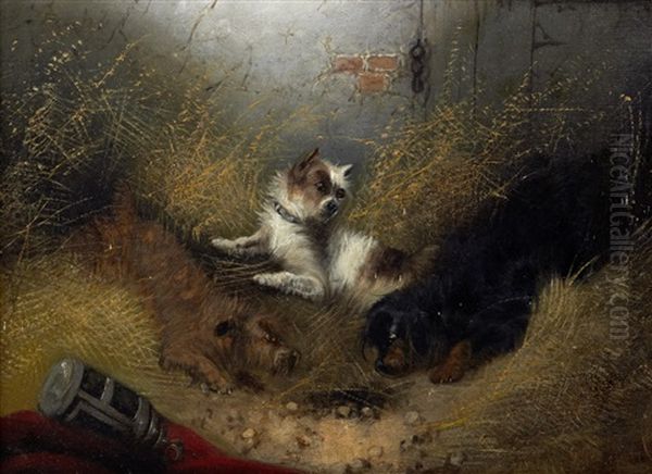 Terriers Ratting In A Barn (pair) by Edward Armfield