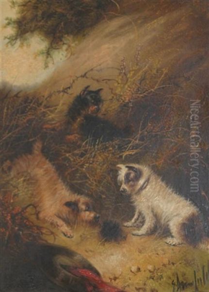 Terriers Rabbiting by Edward Armfield