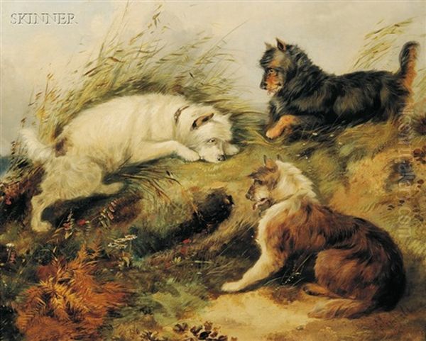 Scottish Terriers by Edward Armfield