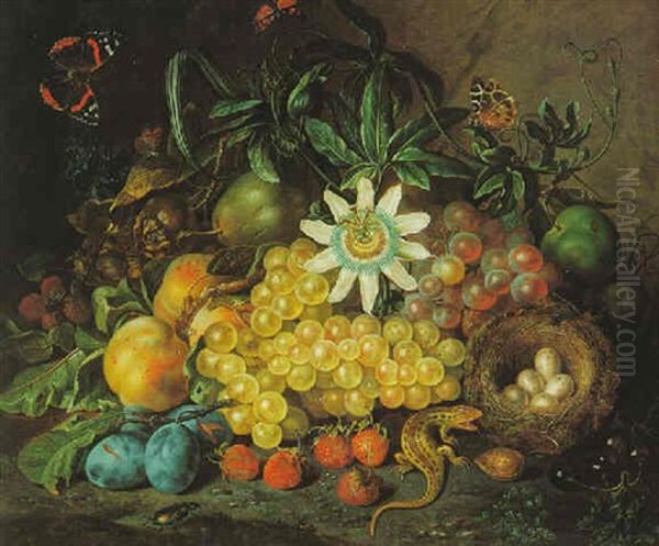 Still Life Of Grapes, Plums, Strawberries And Other Fruits, Nest With Eggs, A Passion Flower With A Lizard by Johann Daniel Bager