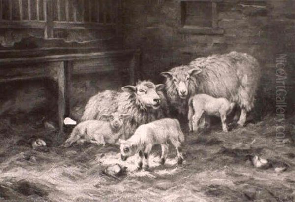 Sheep And Lambs In A Barn by Wright Barker