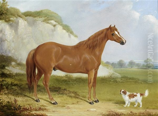 A Chestnut Horse And Spaniel In A Landscape by William Barraud