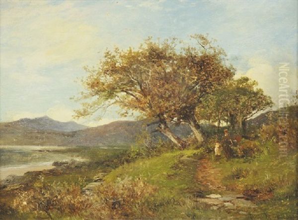 View Between Barmouth And Dalgelly by David Bates