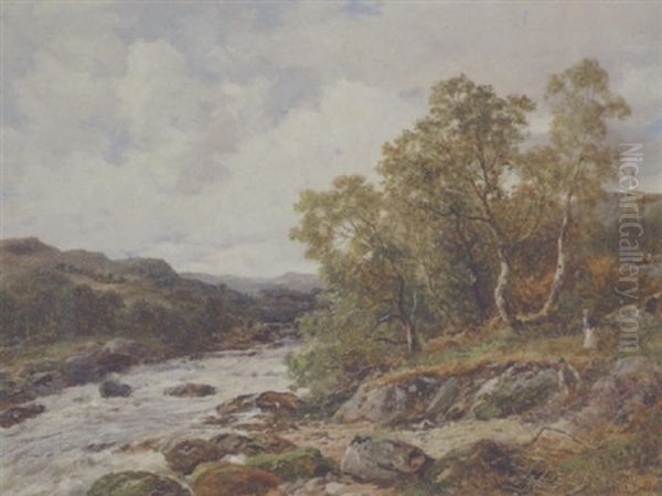 A Spate On The Lledr by David Bates