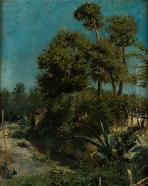 Paisaje Campestre Con Pita by Aureliano De Beruete