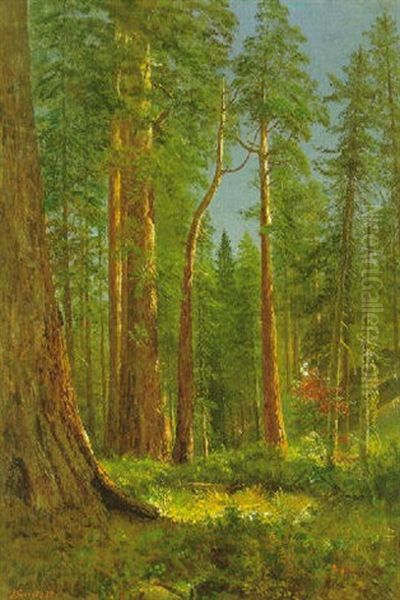 King's River, Grove Of Big Trees - California by Albert Bierstadt