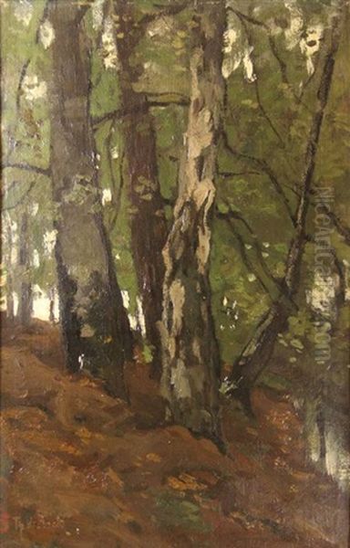 Forestview With A Stream by Theophile De Bock