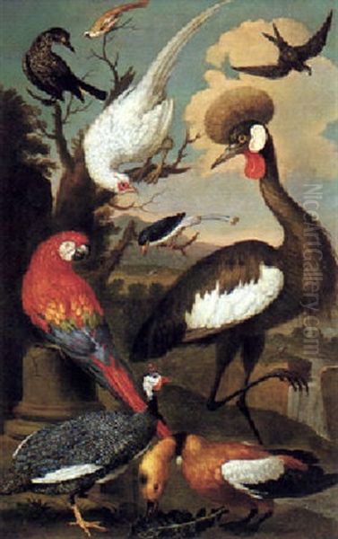 A Scarlet And Blue Macaw, A Guinea Fowl, An Egyptian Goose, A Crowned Crane, A Bearded Reedling, A Nutcracker,... by Jakob Bogdani