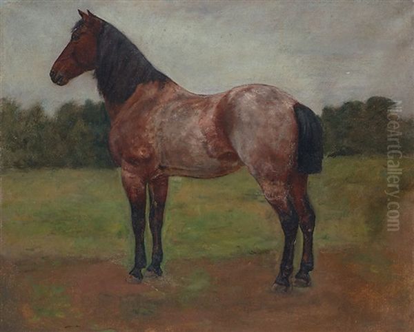 Cheval Au Pre by Auguste (Francois Auguste) Bonheur