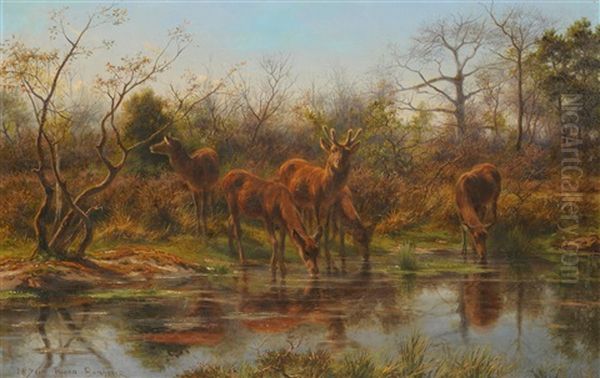 Deer Drinking Beside A Pond by Rosa Bonheur