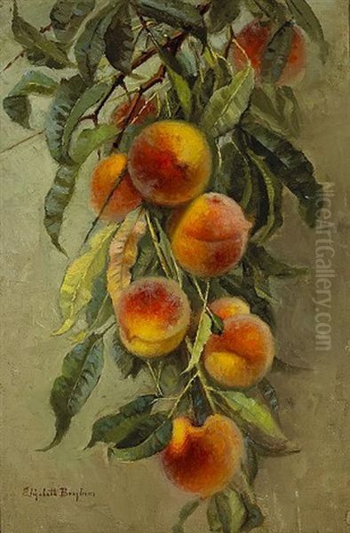 Peaches by Elizabeth Borglum