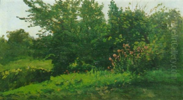 Paesaggio Con Siepe Di Cespugli E Fiori by Giacinto Corsi di Bosnasco