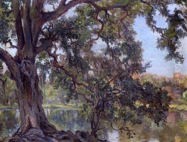 Louisiana Live Oak, City Park, New Orleans, Lousiana by Charles Wellington Boyle