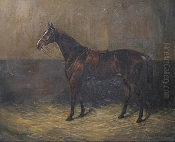 Lord John - Horse In A Loose Box by Cuthbert Bradley