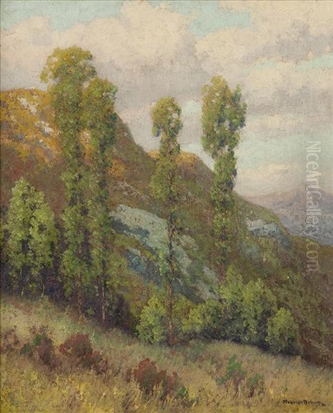 Mountainside, San Diego Foothills Landscape by Maurice Braun