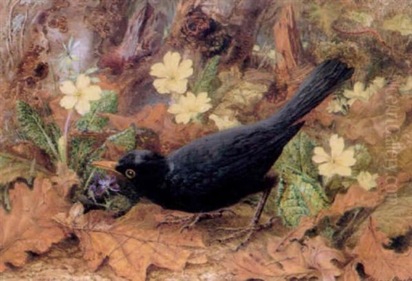 A Blackbird In Autumn Woodland Surrounded By Primroses And Violets by Rosa Brett