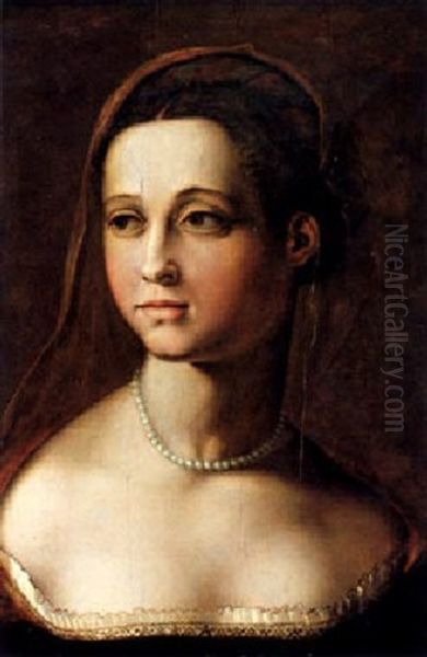 Bildnis Einer Vornehmen Dame by  Bronzino