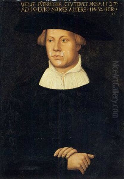 Portrait Of Wolff Fuerleger Wearing An Embroidered Black Coat by Hans Brosamer