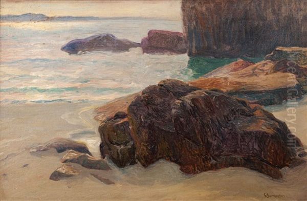 Rocky Coast by Georg Burmester