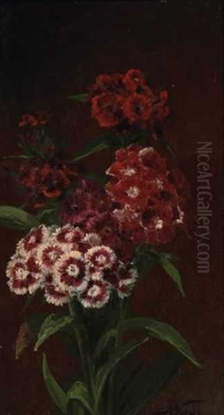 Sweet William by John William Casilear