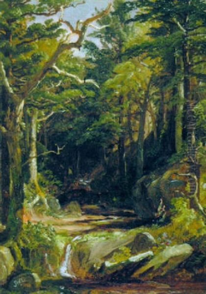 Woodland Brook by John William Casilear