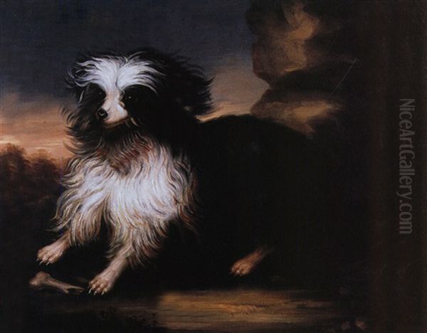 Portrait Eines Hundes Vor Seinem Knochen by Giacomo Ceruti