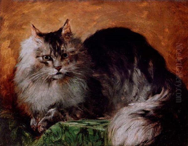 A Persian Cat by John Charlton