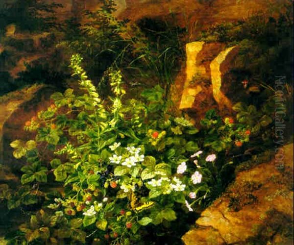 Blackberries And Wild Flowers In A Rocky Landscape by Anthonie Eleonore (Anthonore) Christensen