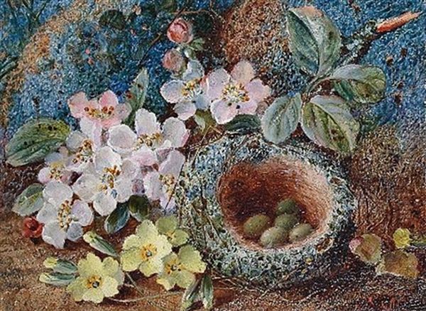 Wild Flowers By A Bird's Nest (+ Primroses And Other Wild Flowers On A Mossy Bank; Pair) by Vincent Clare