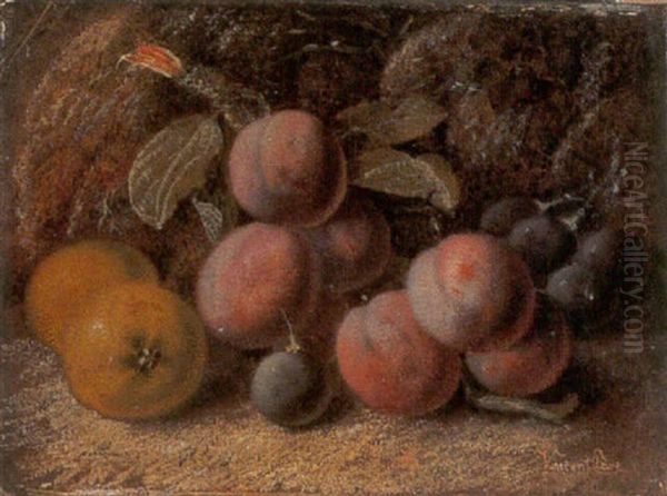 Bodegon De Ciruelas, Uvas Y Peritas by Vincent Clare