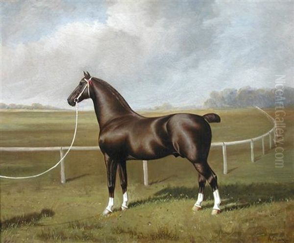 Eden Rock - A Dark Bay Trotting Horse Beside A Racecourse by Albert Clark