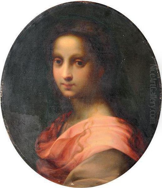 Jeune Femme En Buste by Andrea Del Sarto