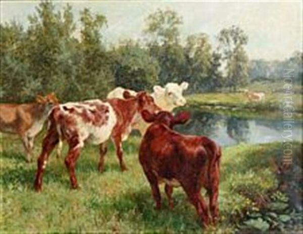 Calves Near A Lake Oil Painting - Charles Collins II