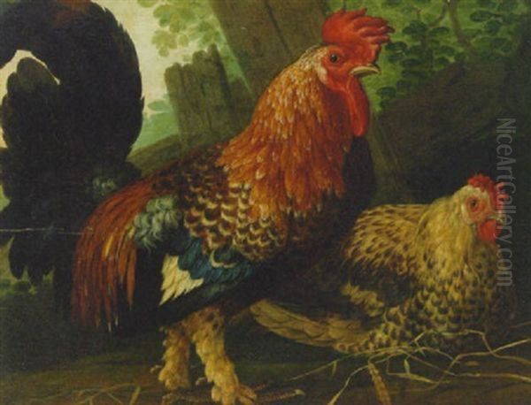 A Cockerel And A Hen by David de Coninck