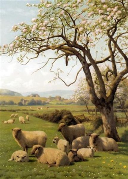 Sheep Resting Under A Blossom Tree by William Sidney Cooper