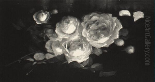 White Roses by Alice Coutts