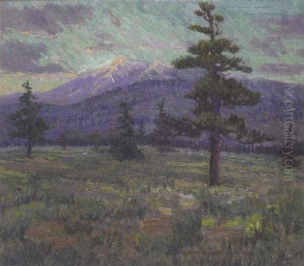 San Francisco Peaks, Arizona by Walter Barron Currier