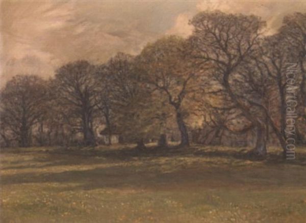 A Grove Of Trees by Hans Mathias Halten Dall