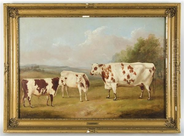 Prize Cattle In A Landscape by William Henry Davis