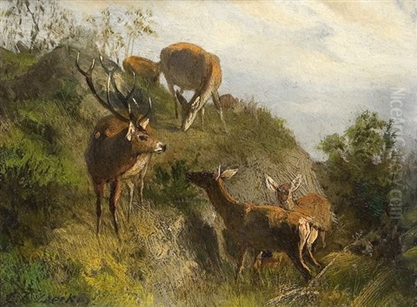 Rotwild Auf Der Anhohe by Carl Friedrich Deiker