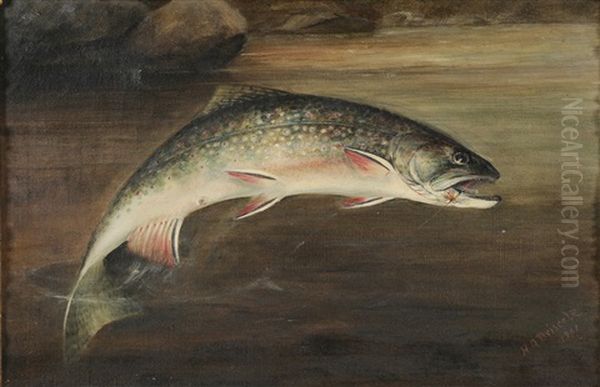 Hooked Trout by Harry Driscole